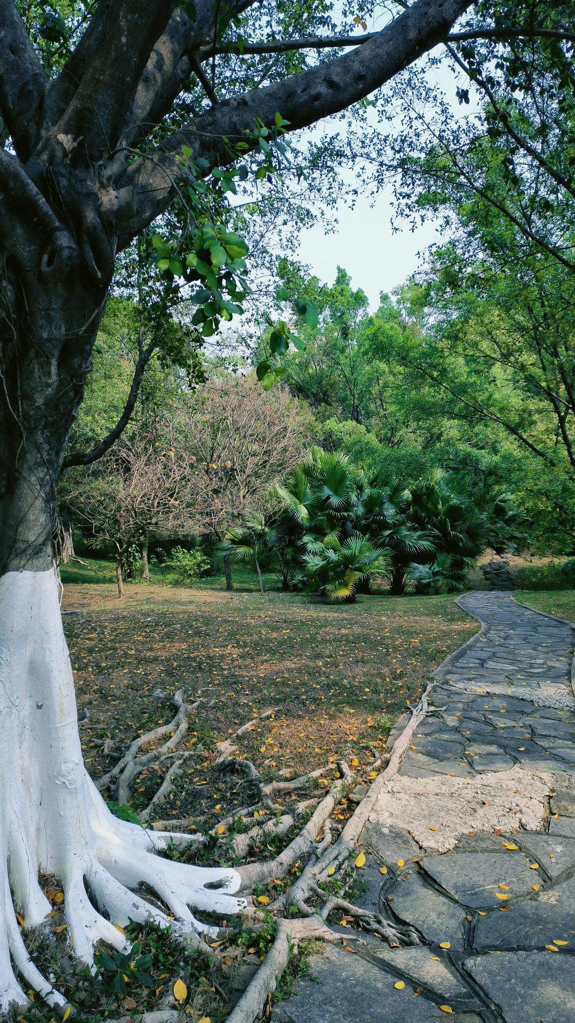狮子山公园