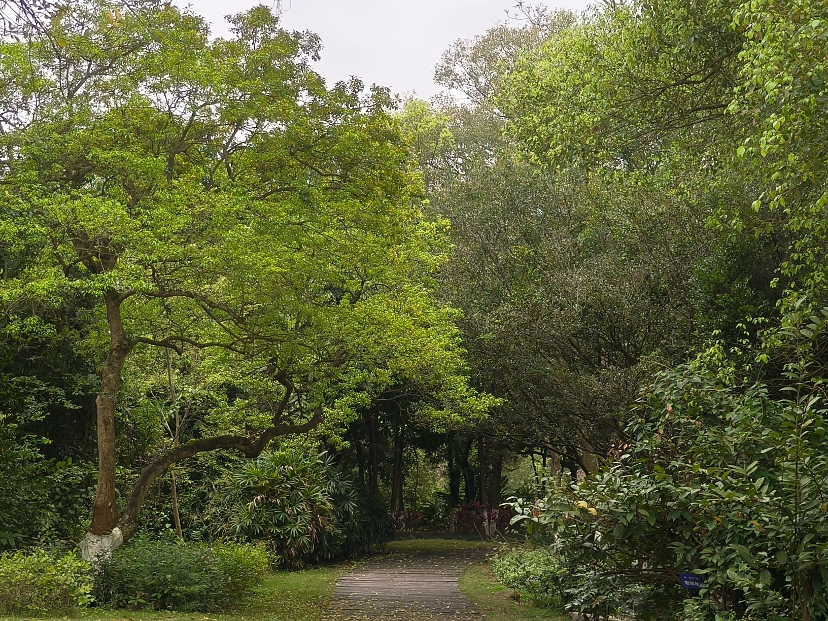 广西壮族自治区药用植物园
