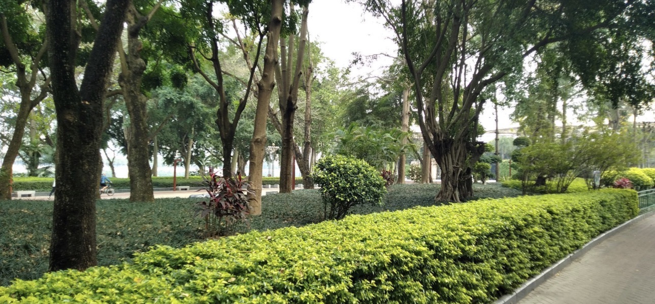 南宁市邕江一桥江滨休闲公园