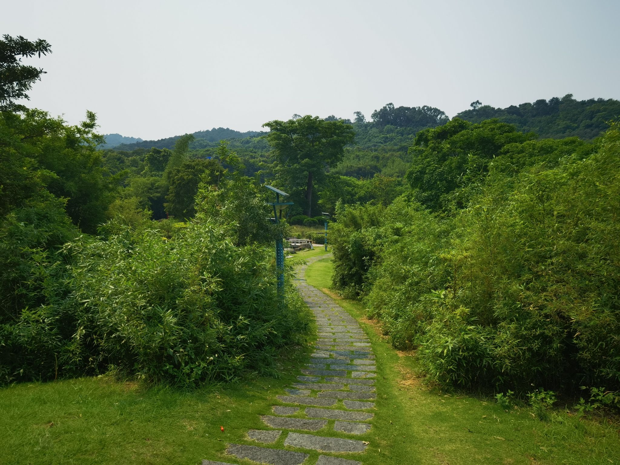 青秀湖公园