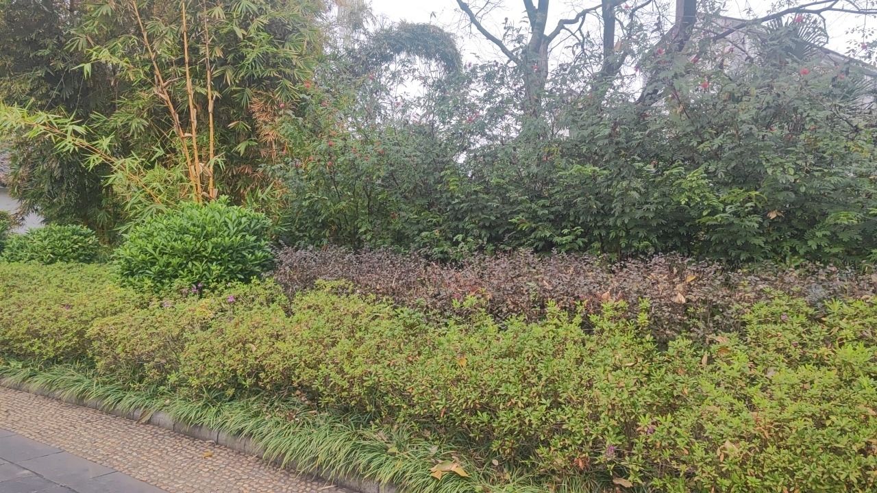 柳侯公园旅行图片