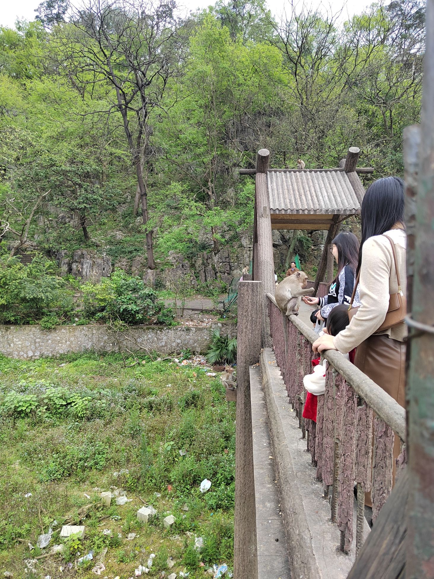 碧芙蓉景区旅行图片