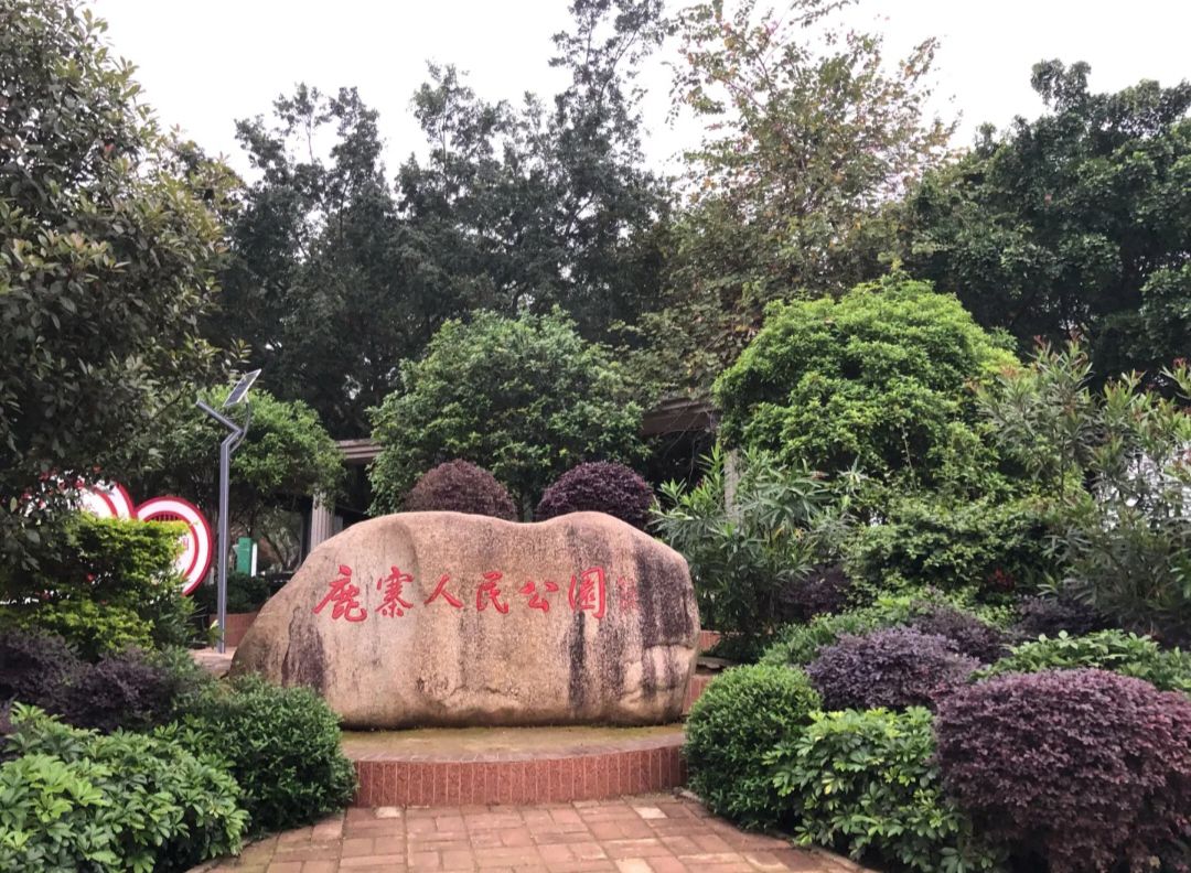 鹿寨人民公园旅行图片