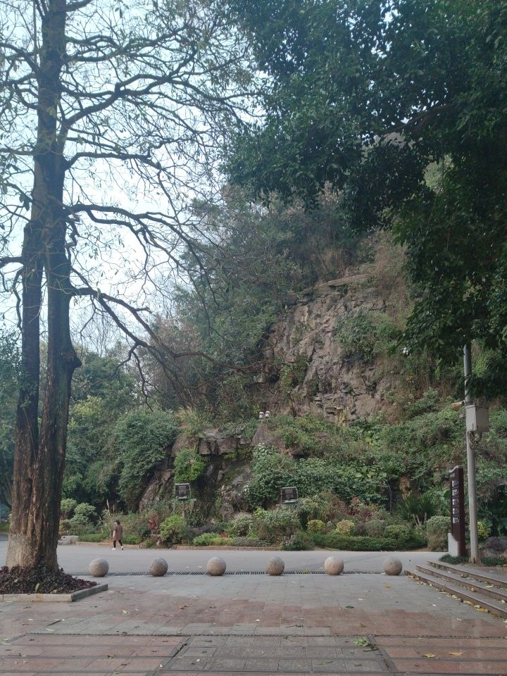 蟠龙山公园旅行图片