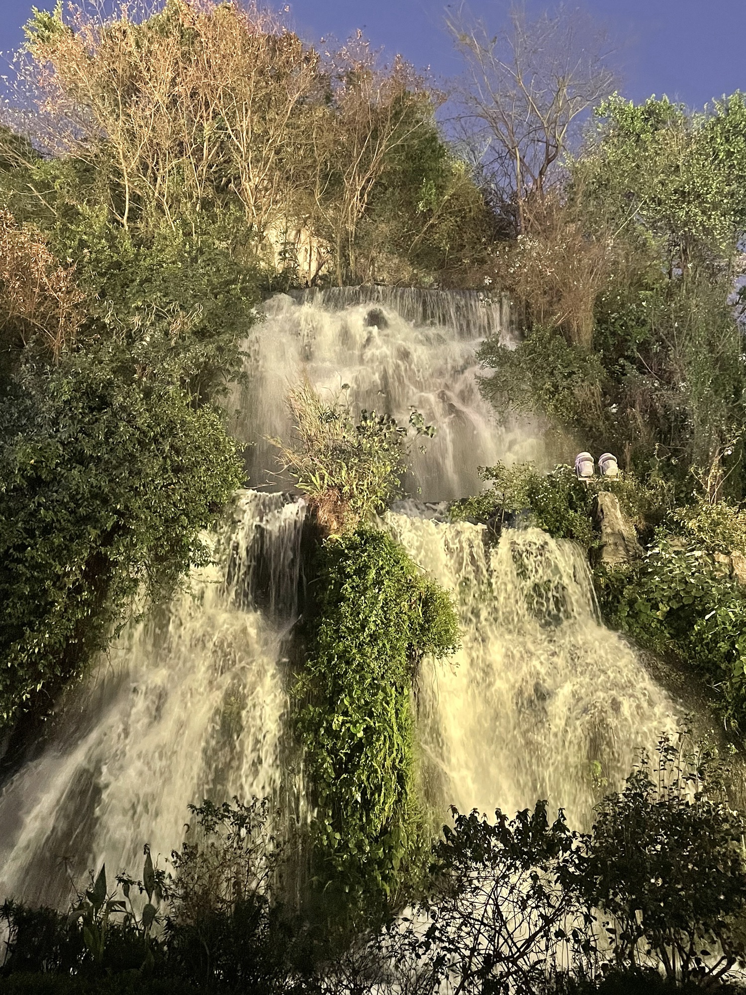 蟠龙山公园旅行图片