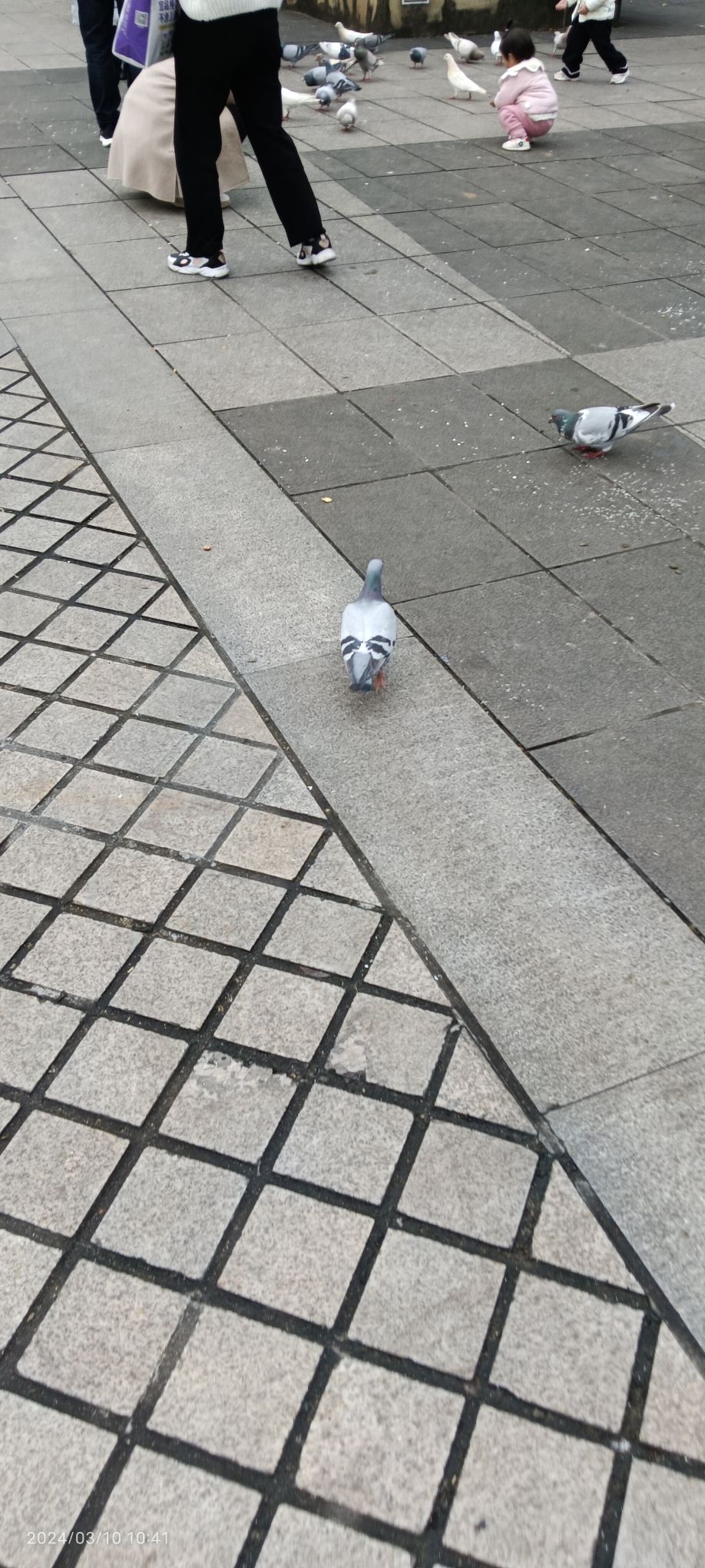 人民广场旅行图片