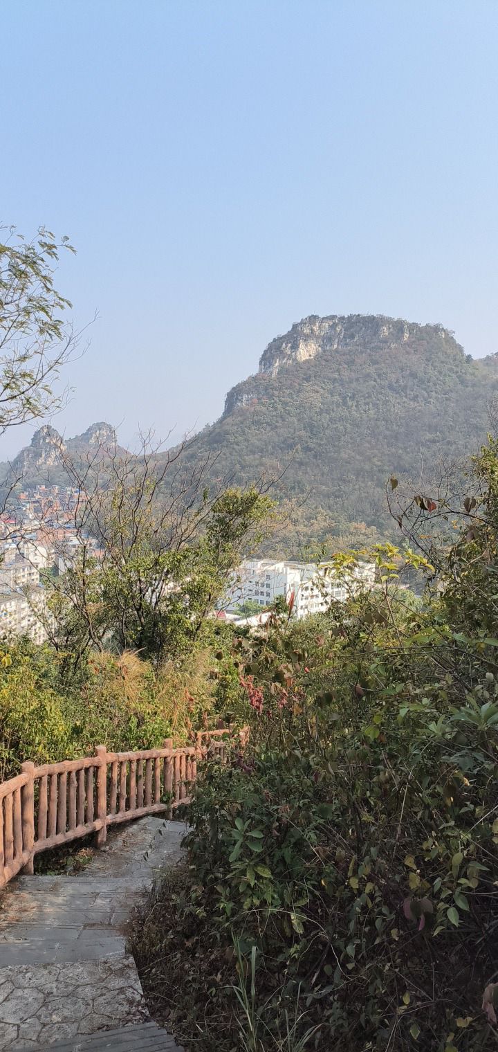 白岩山公园旅行图片