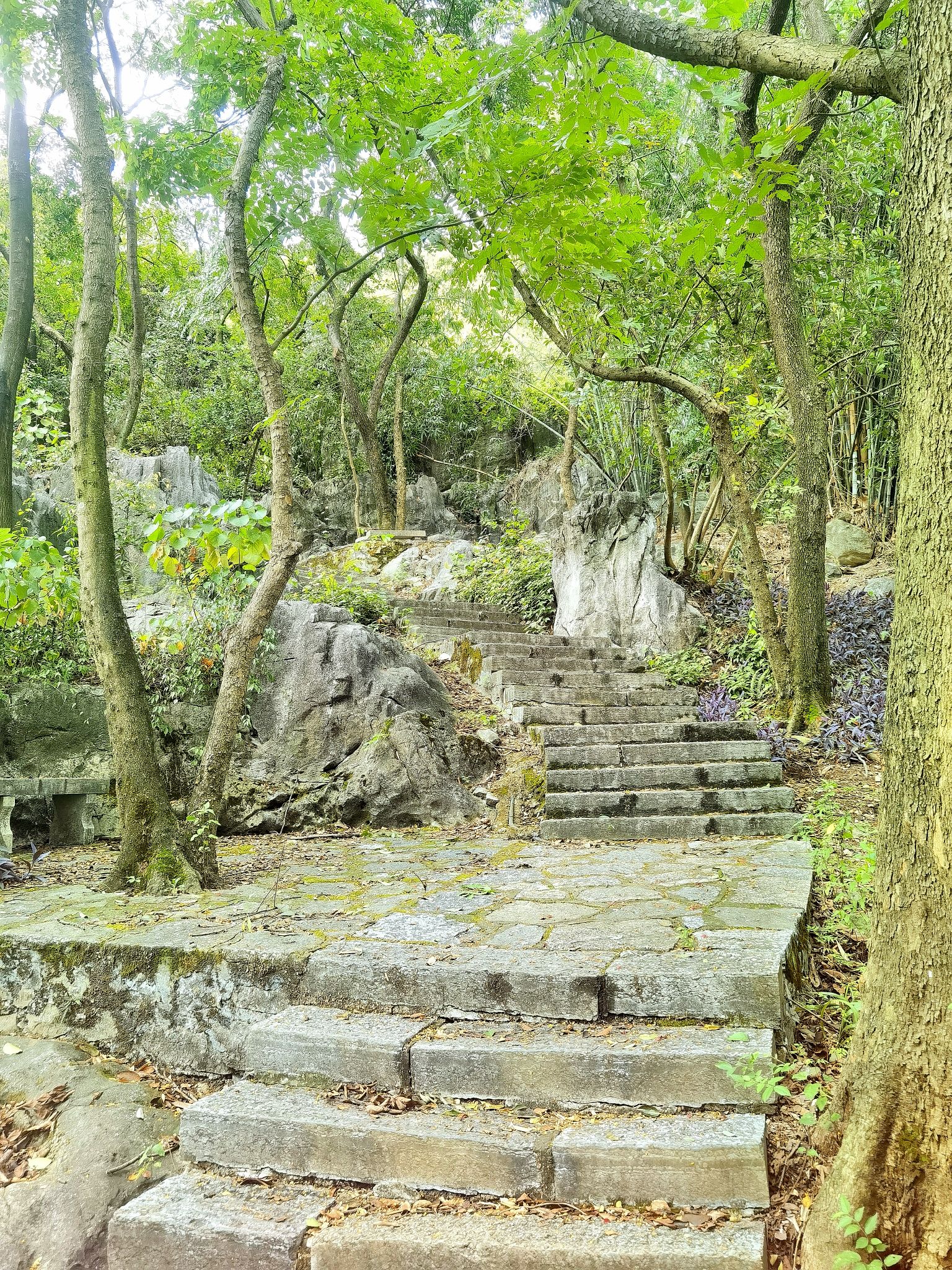 白岩山公园旅行图片