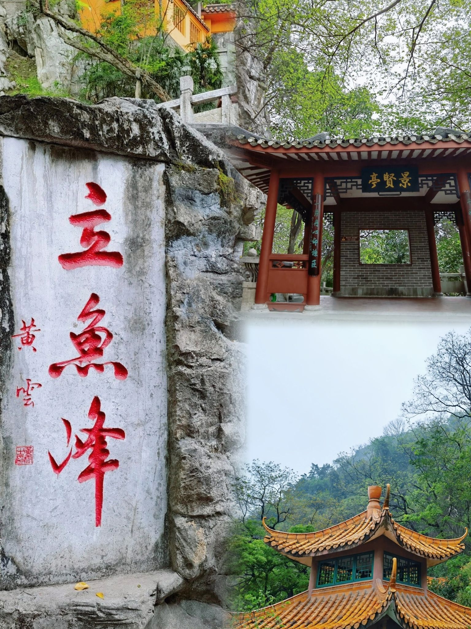 鱼峰公园旅行图片
