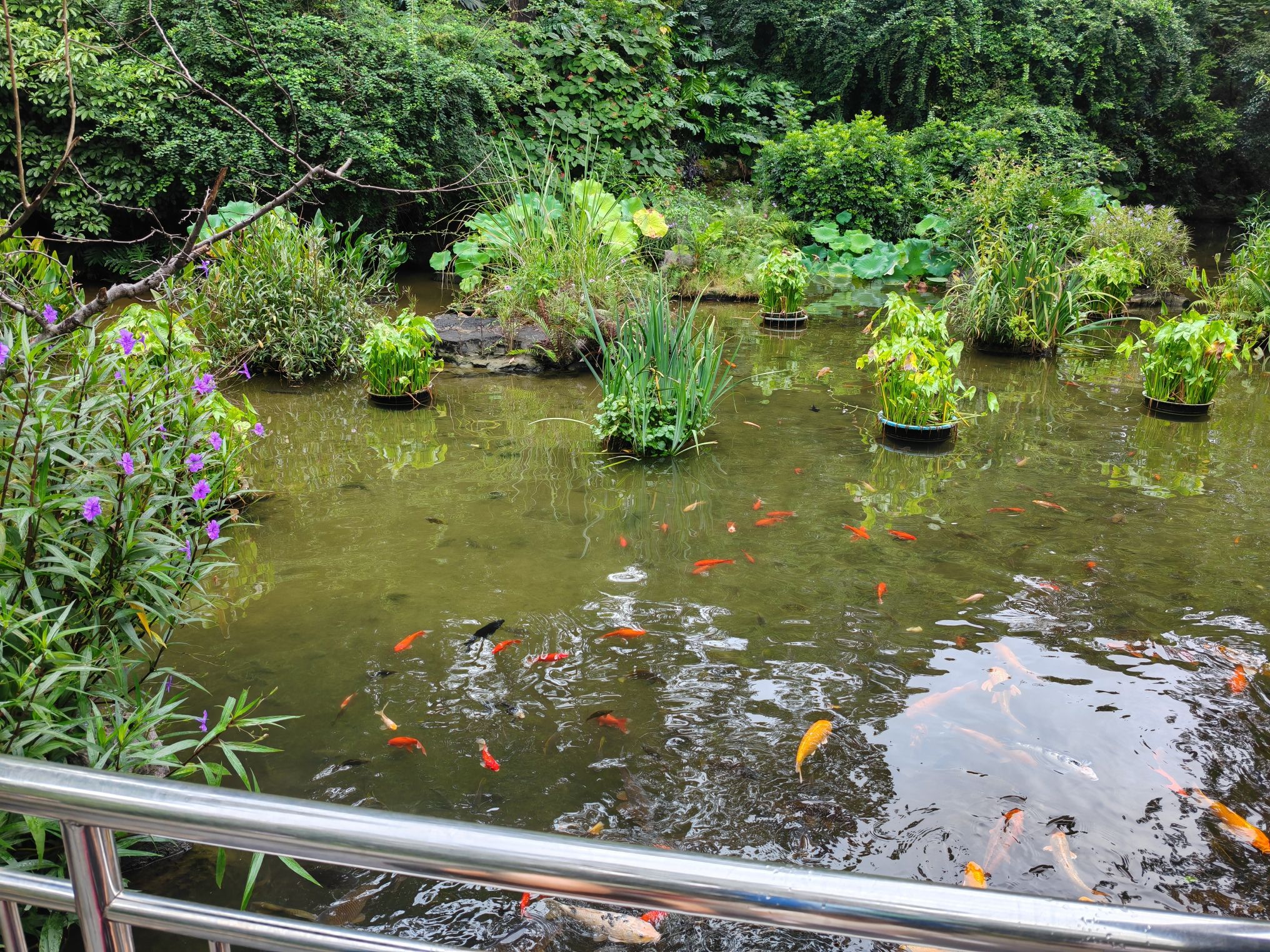 桂林园林植物园