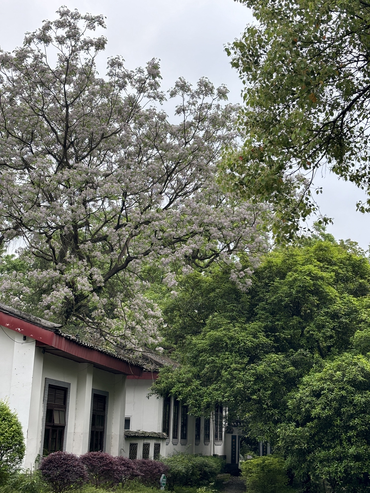 雁山园