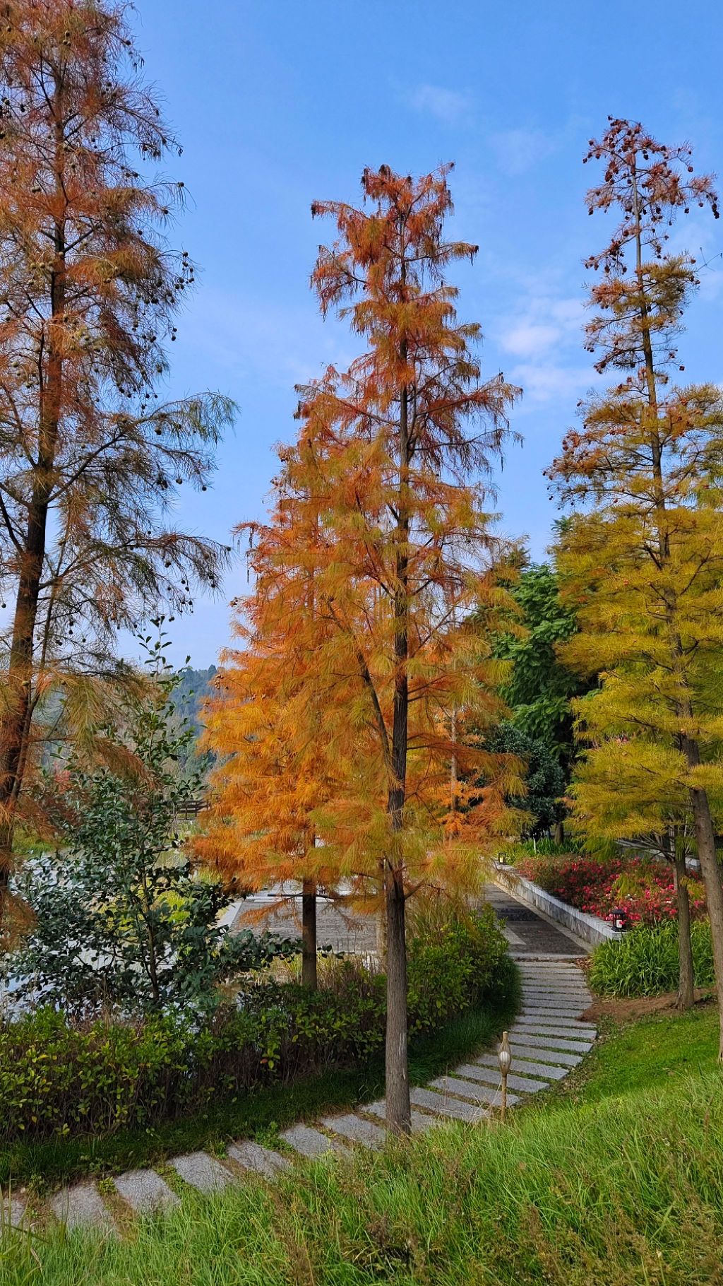 全州县中心广场