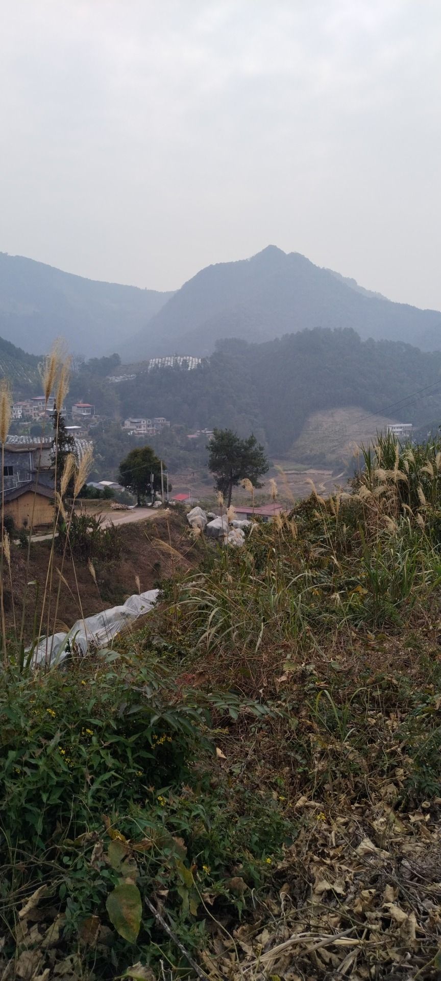 板峡湖