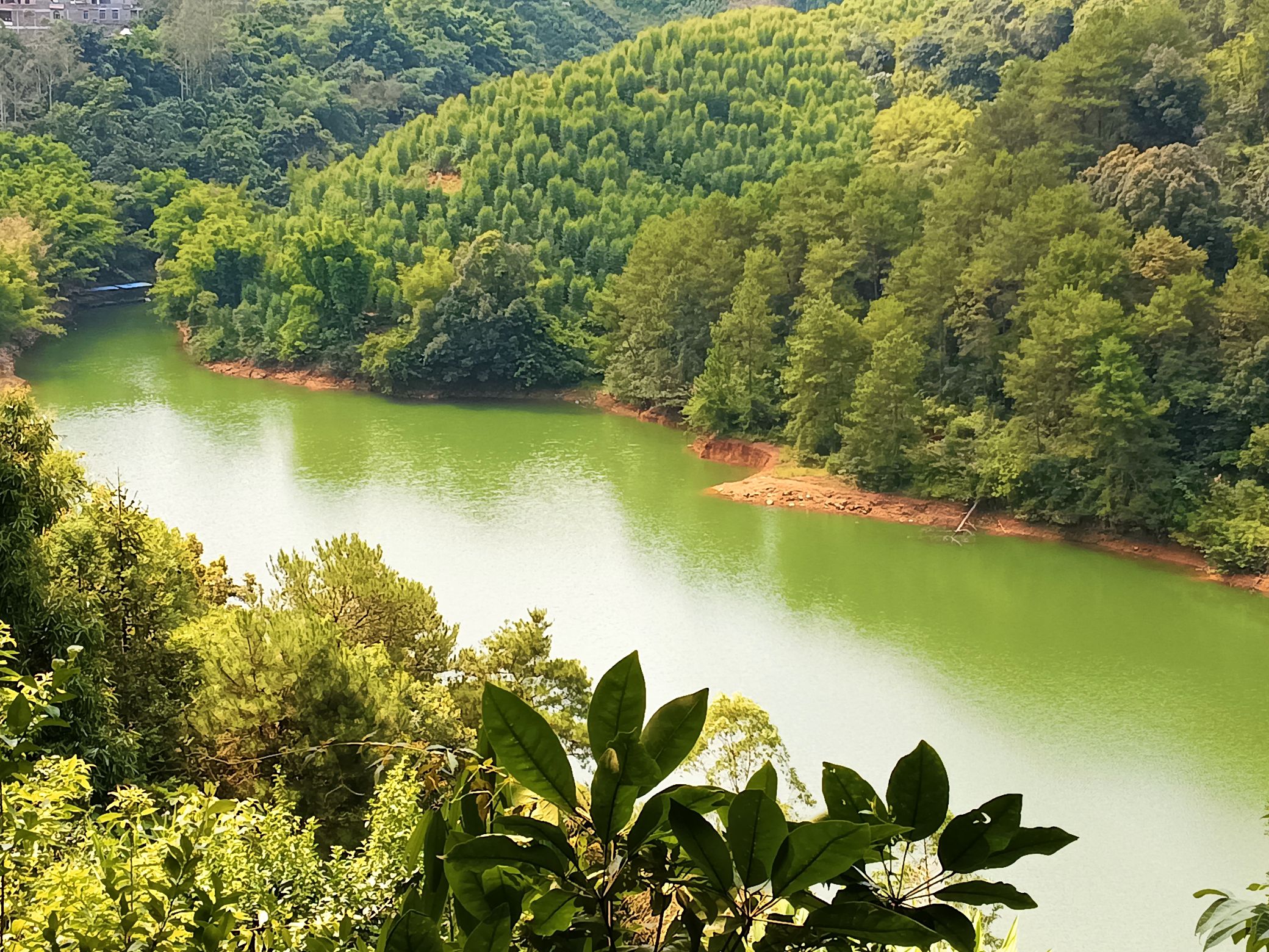 仙人湖景区