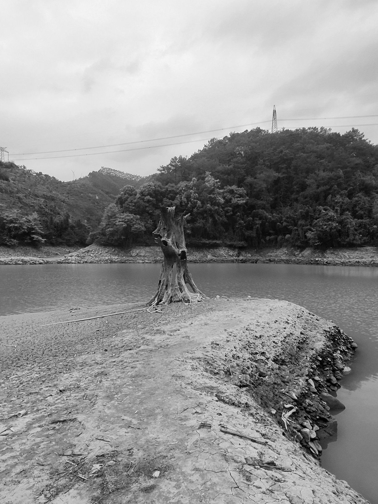 仙人湖景区旅行图片