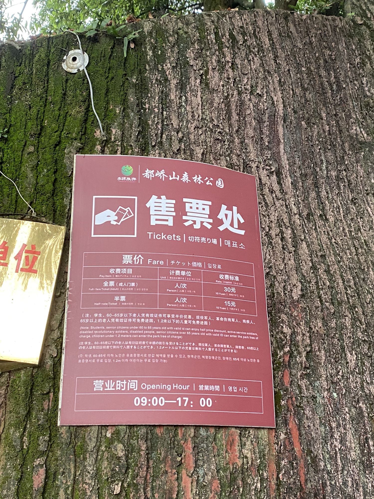 容县都峤山森林公园