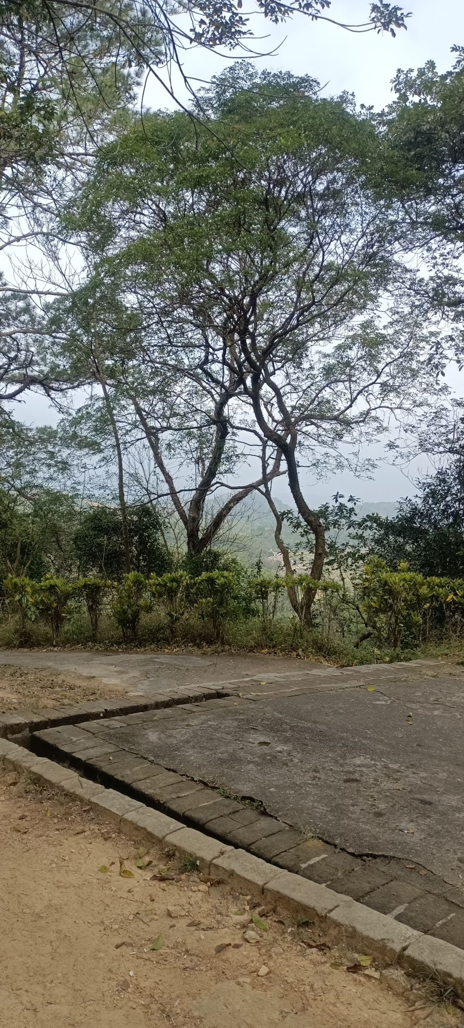谢鲁山庄