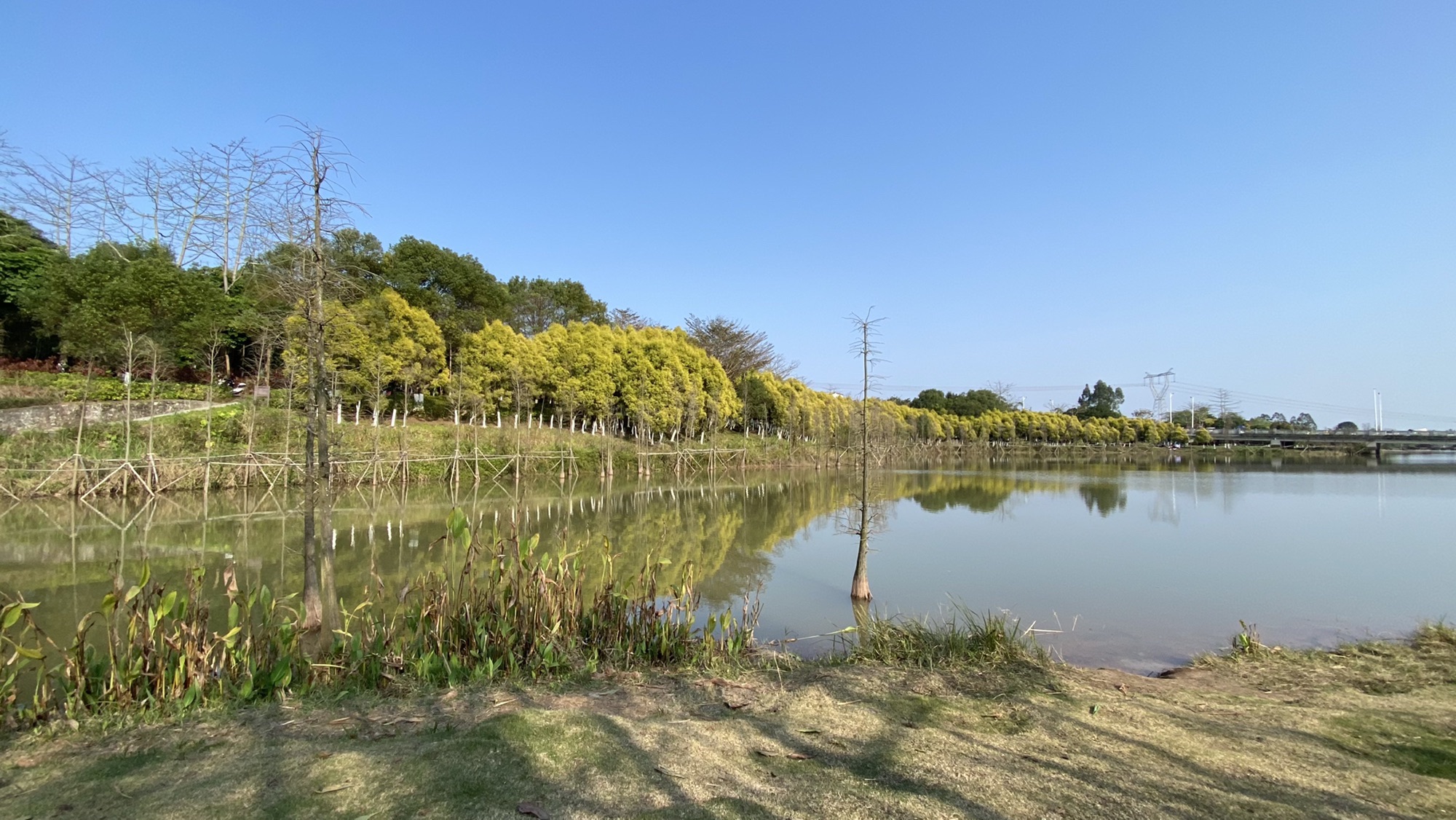 玉林市龟山公园旅行图片