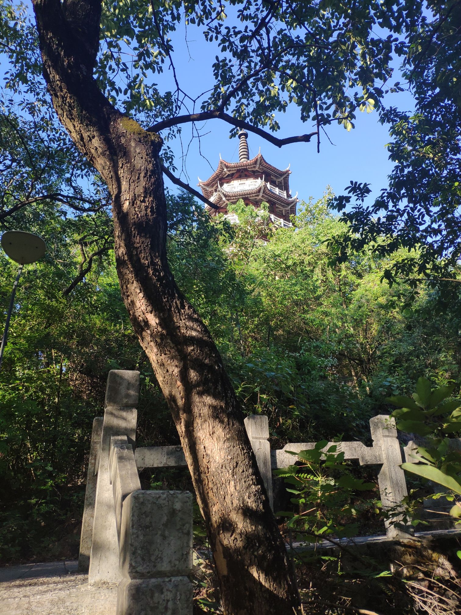 马头山清心公园