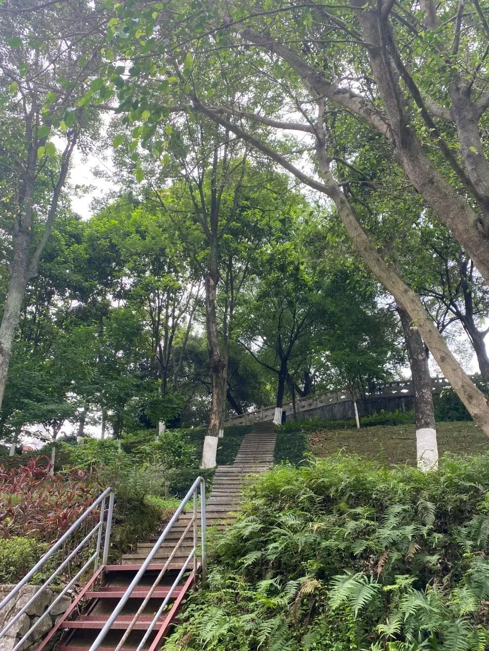 河池市中心广场旅行图片