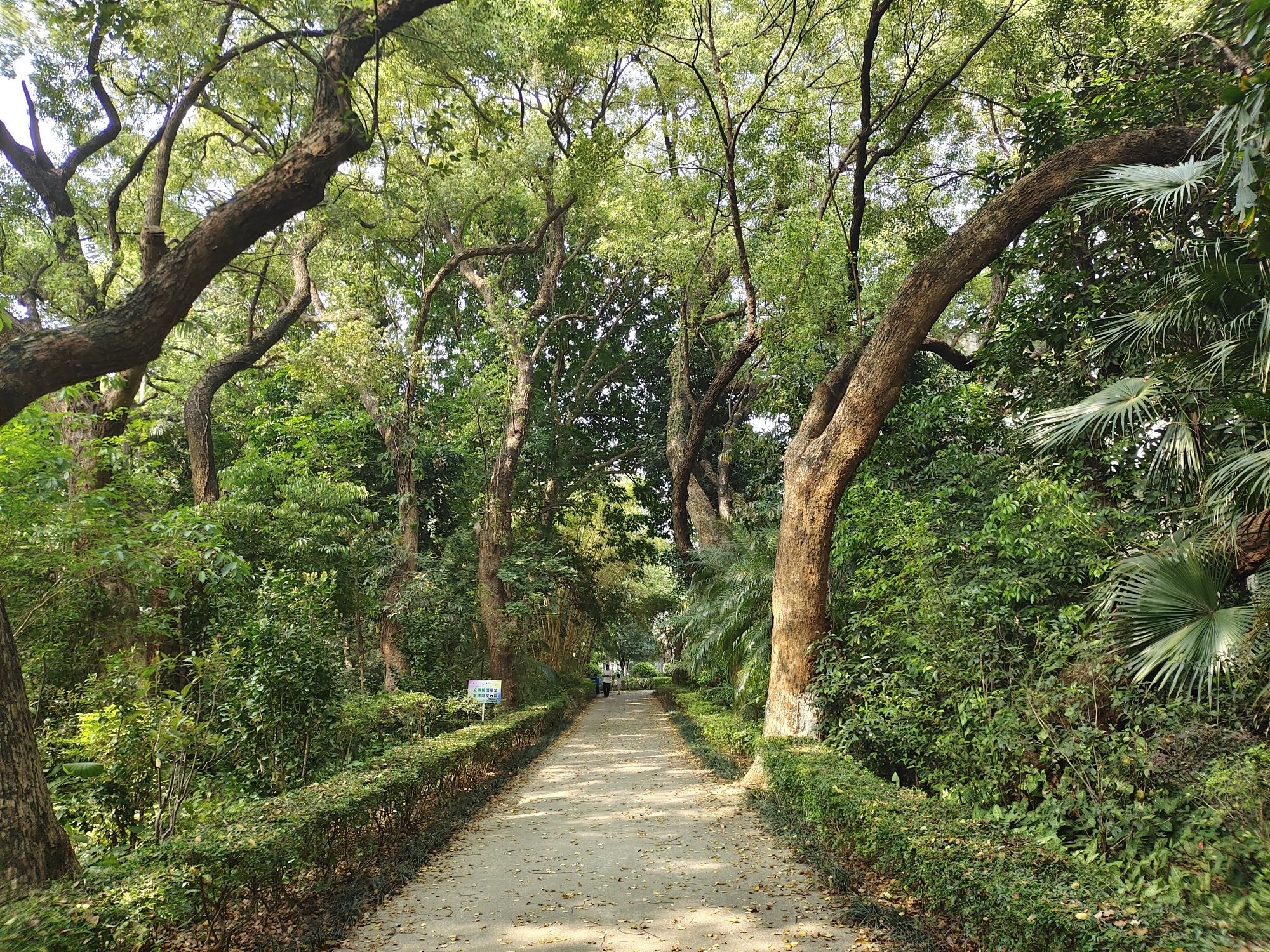 北海市东区公园旅行图片