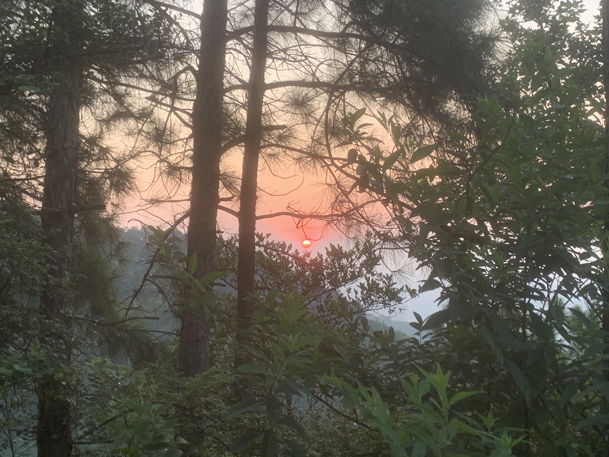 江西新余仰天岗纪念广场