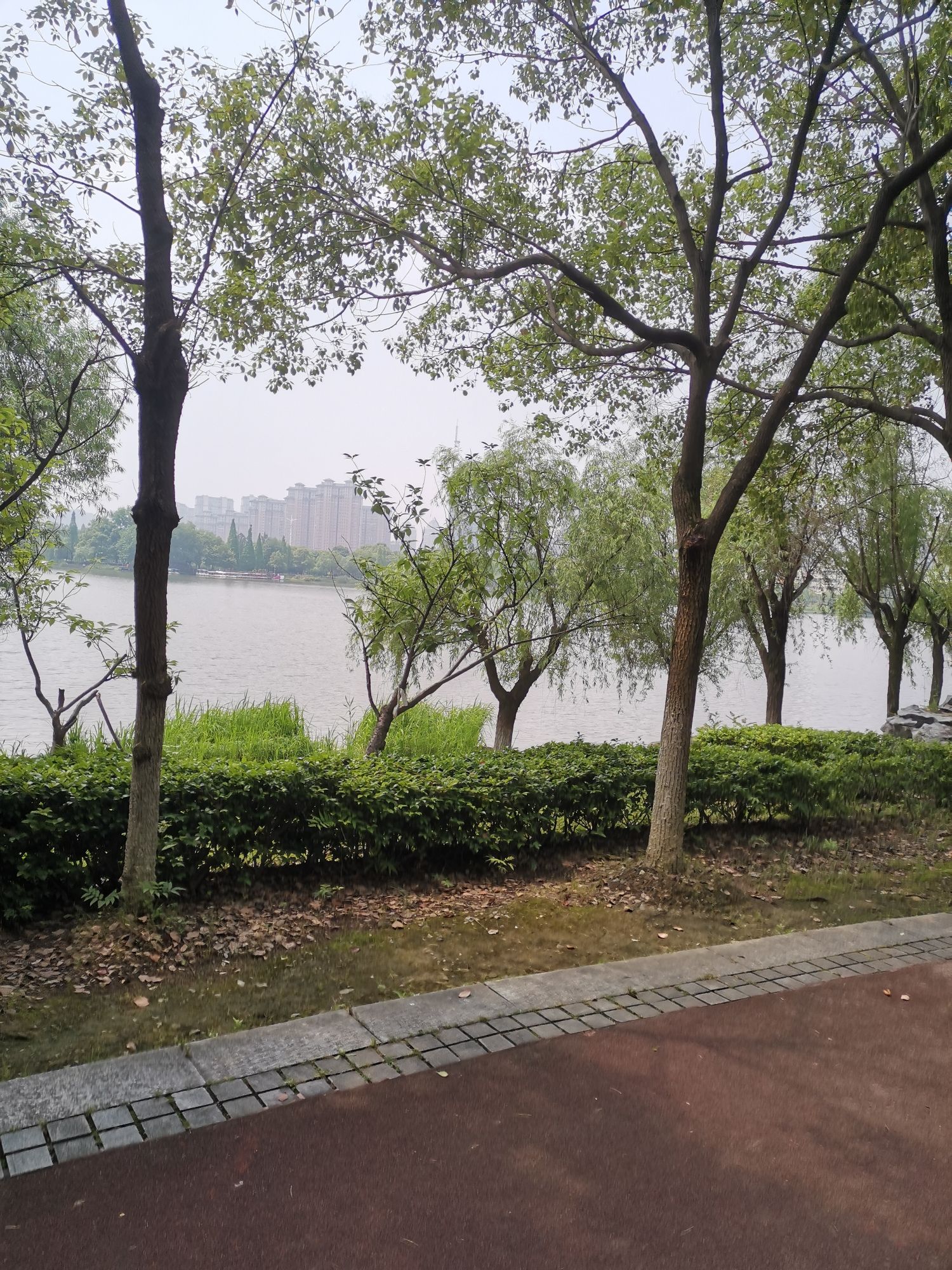 新余市城市风景