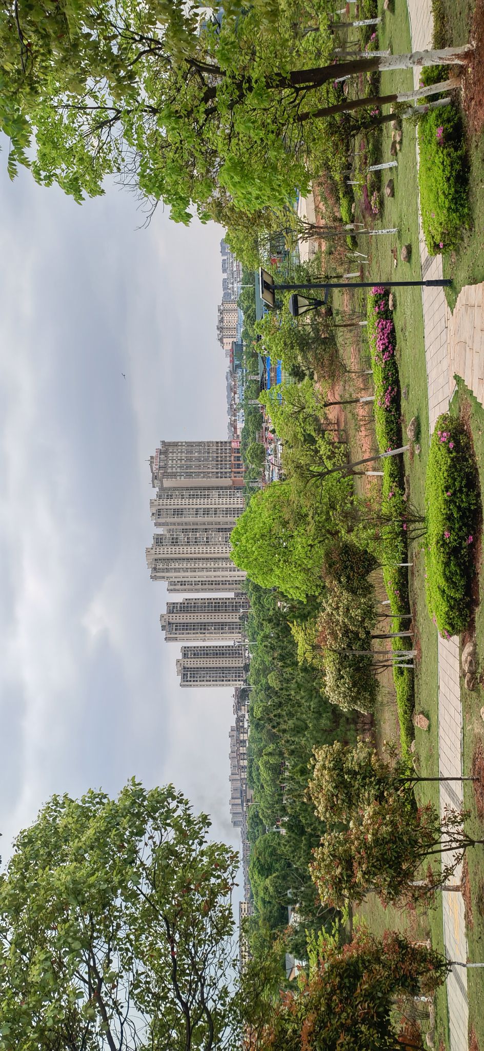 高新森林公园