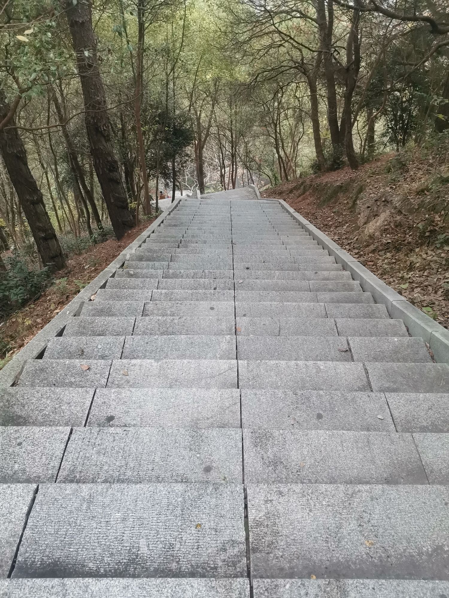 庄岗岭公园