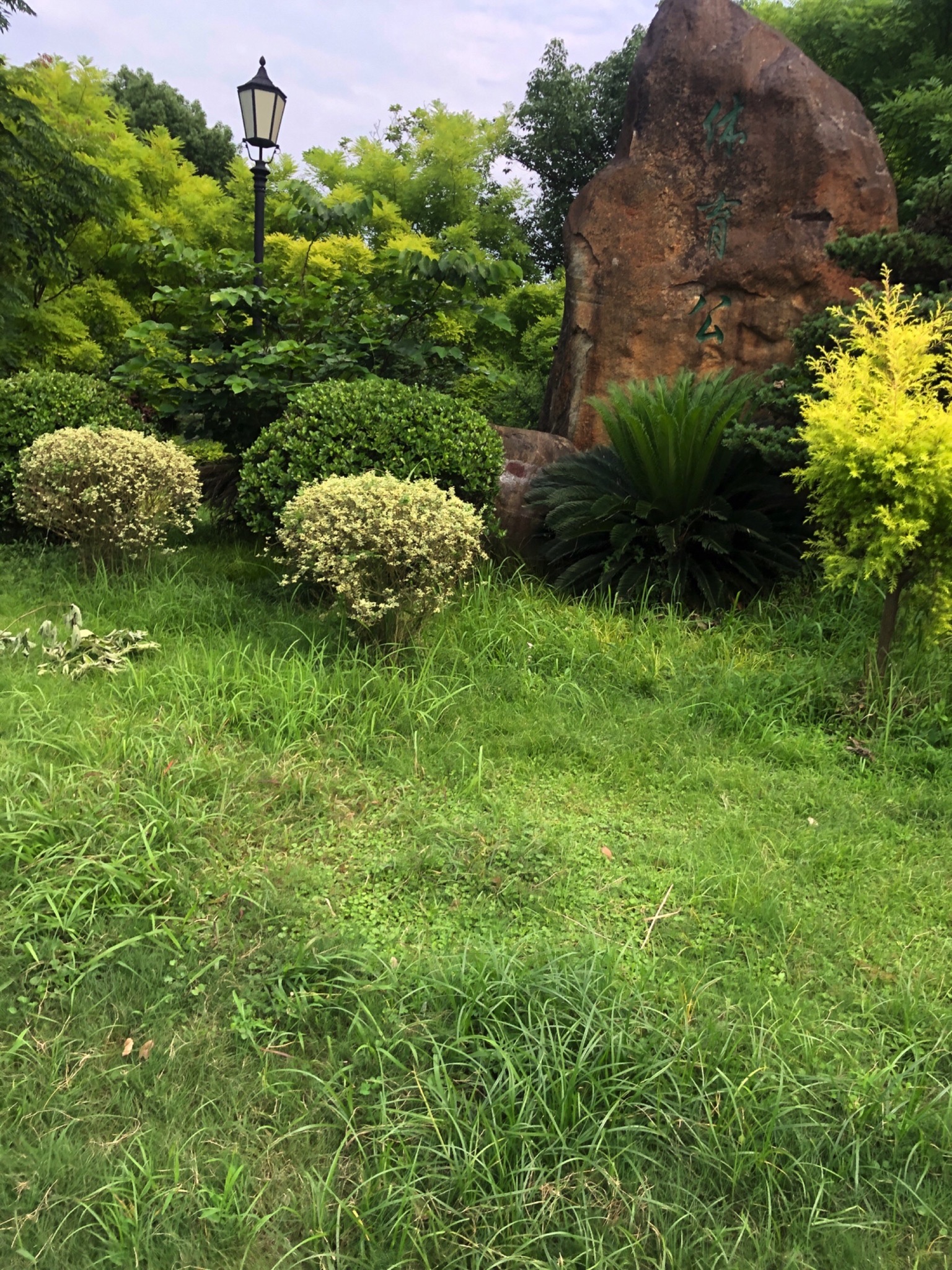 八一体育公园旅行图片