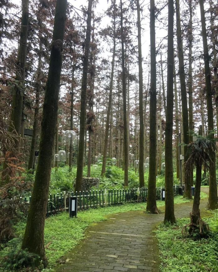 象山森林公园旅行图片