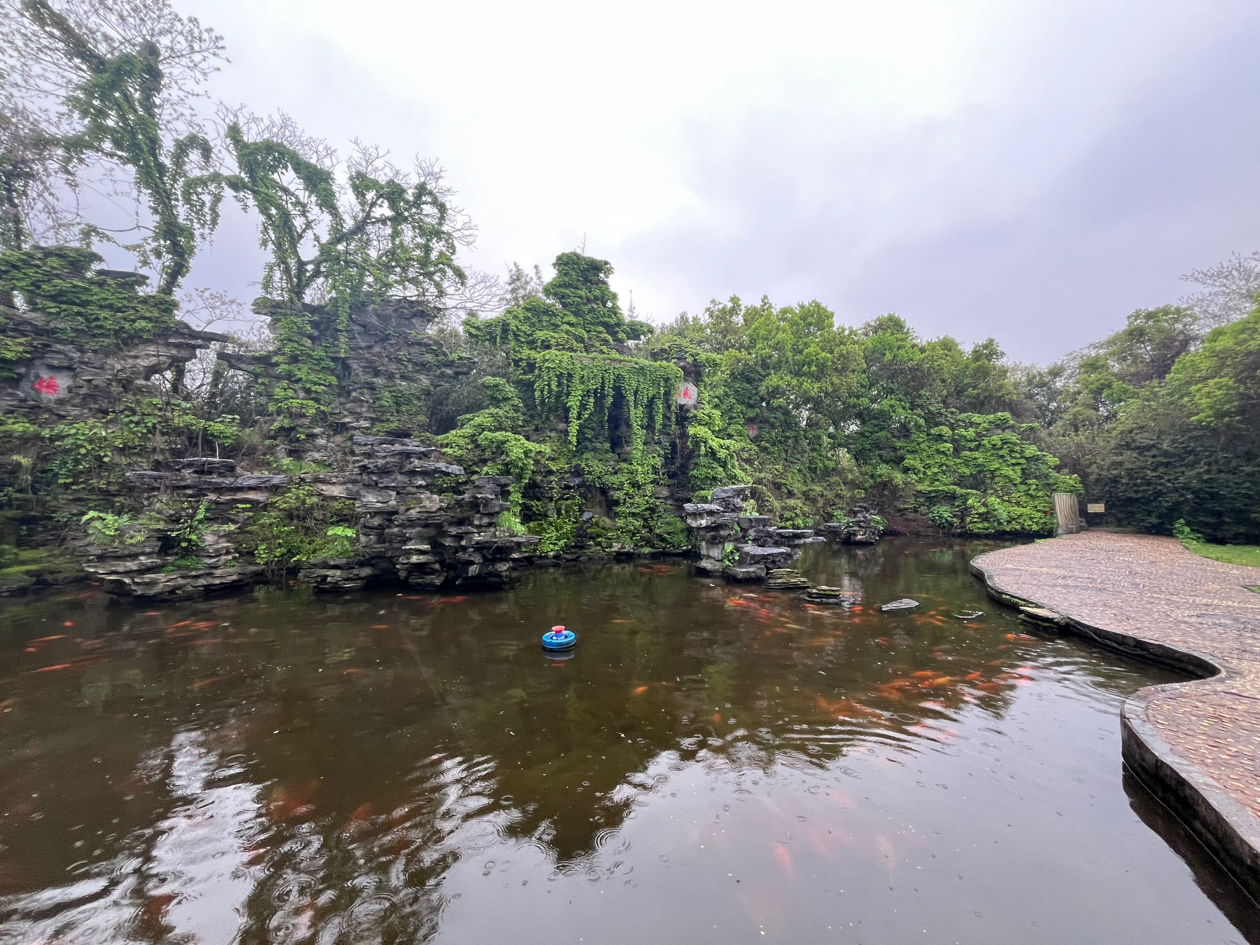 天香园旅行图片