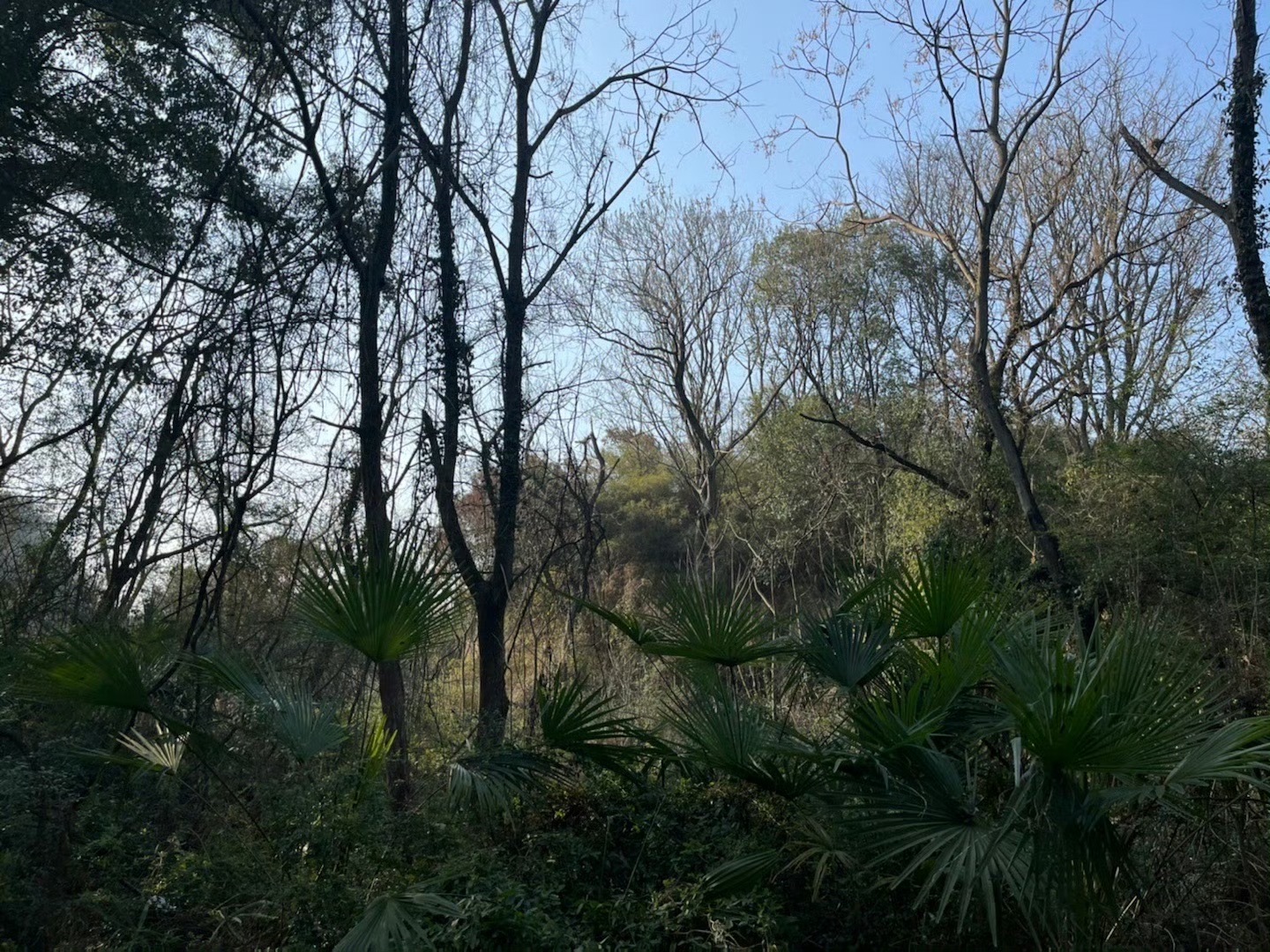 江西南矶山自然保护区