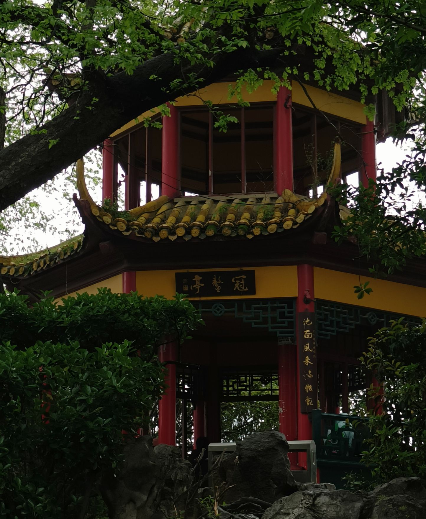 八一公园