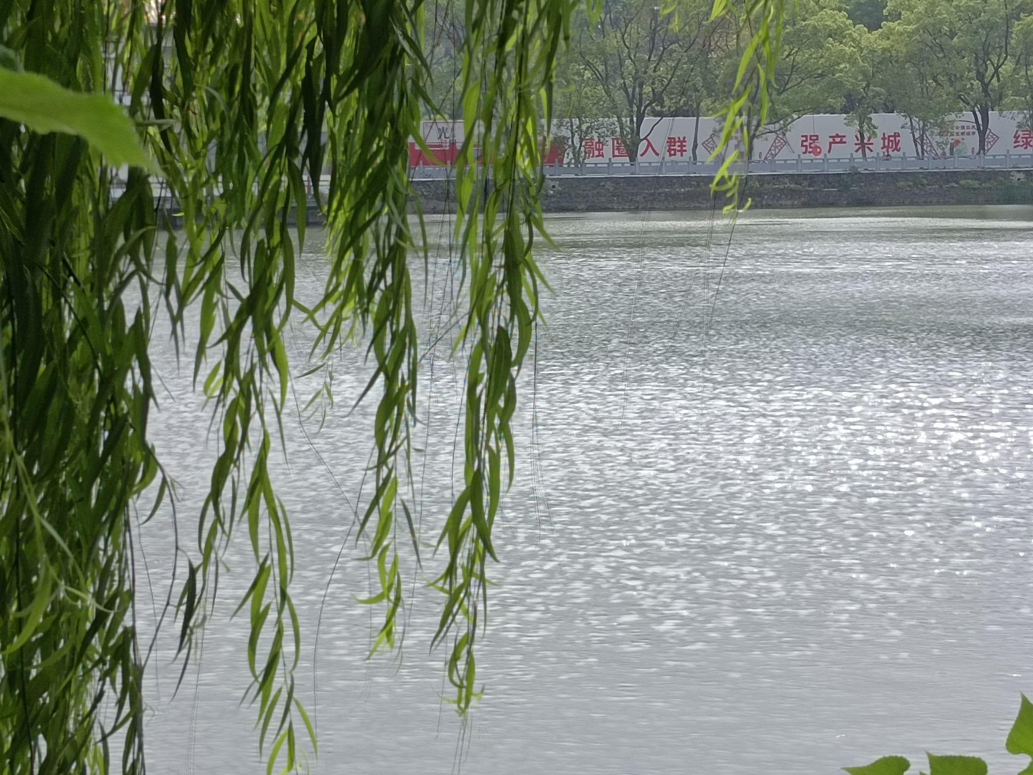 西湖公园