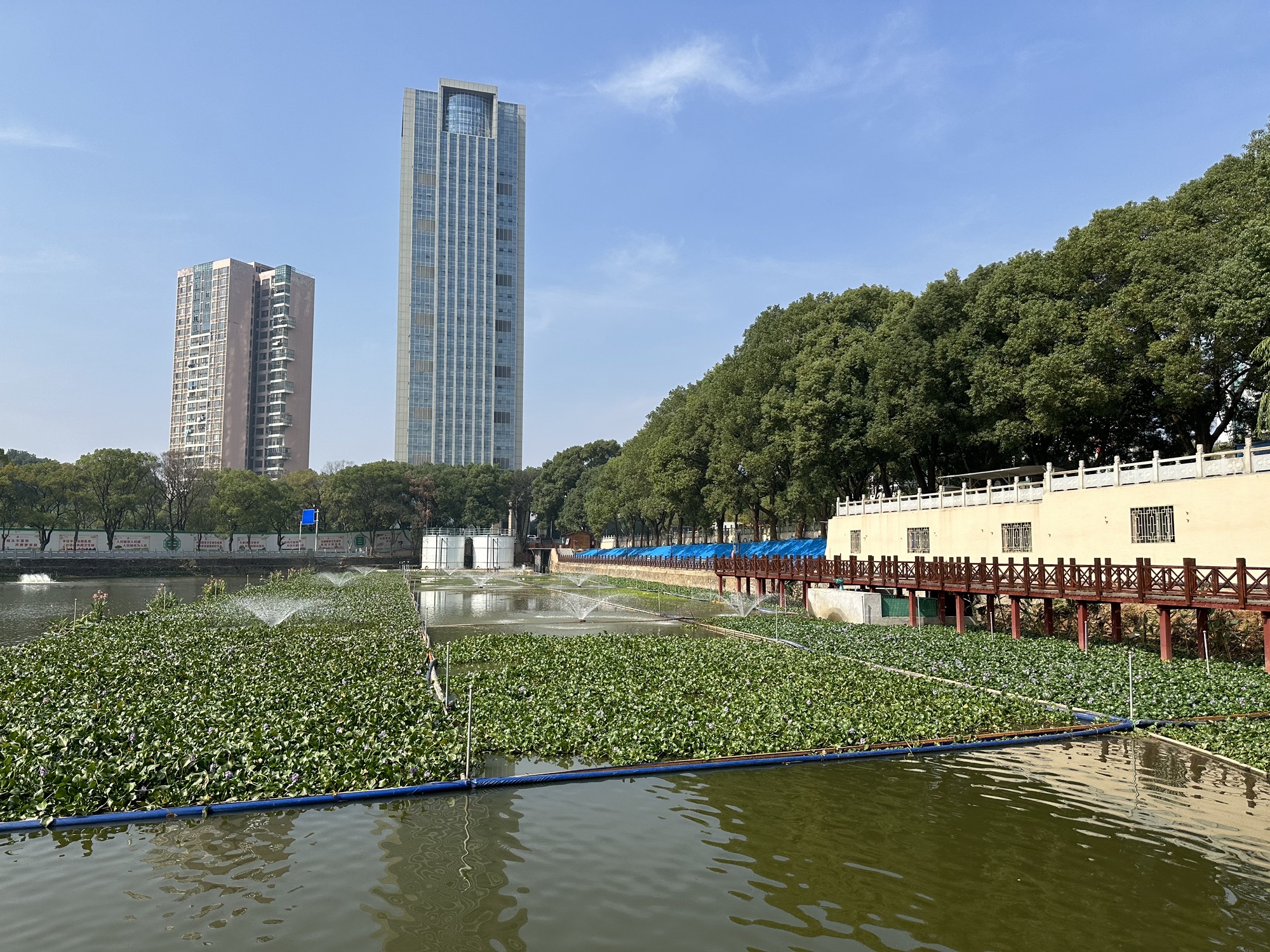 西湖公园旅行图片