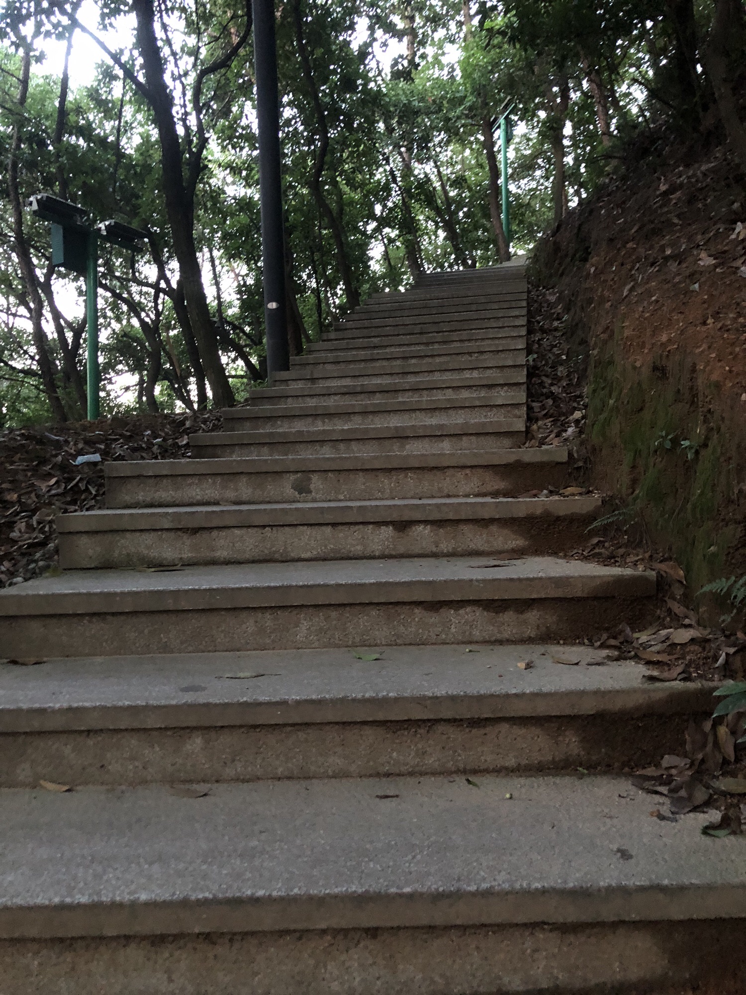 武安山森林公园旅行图片