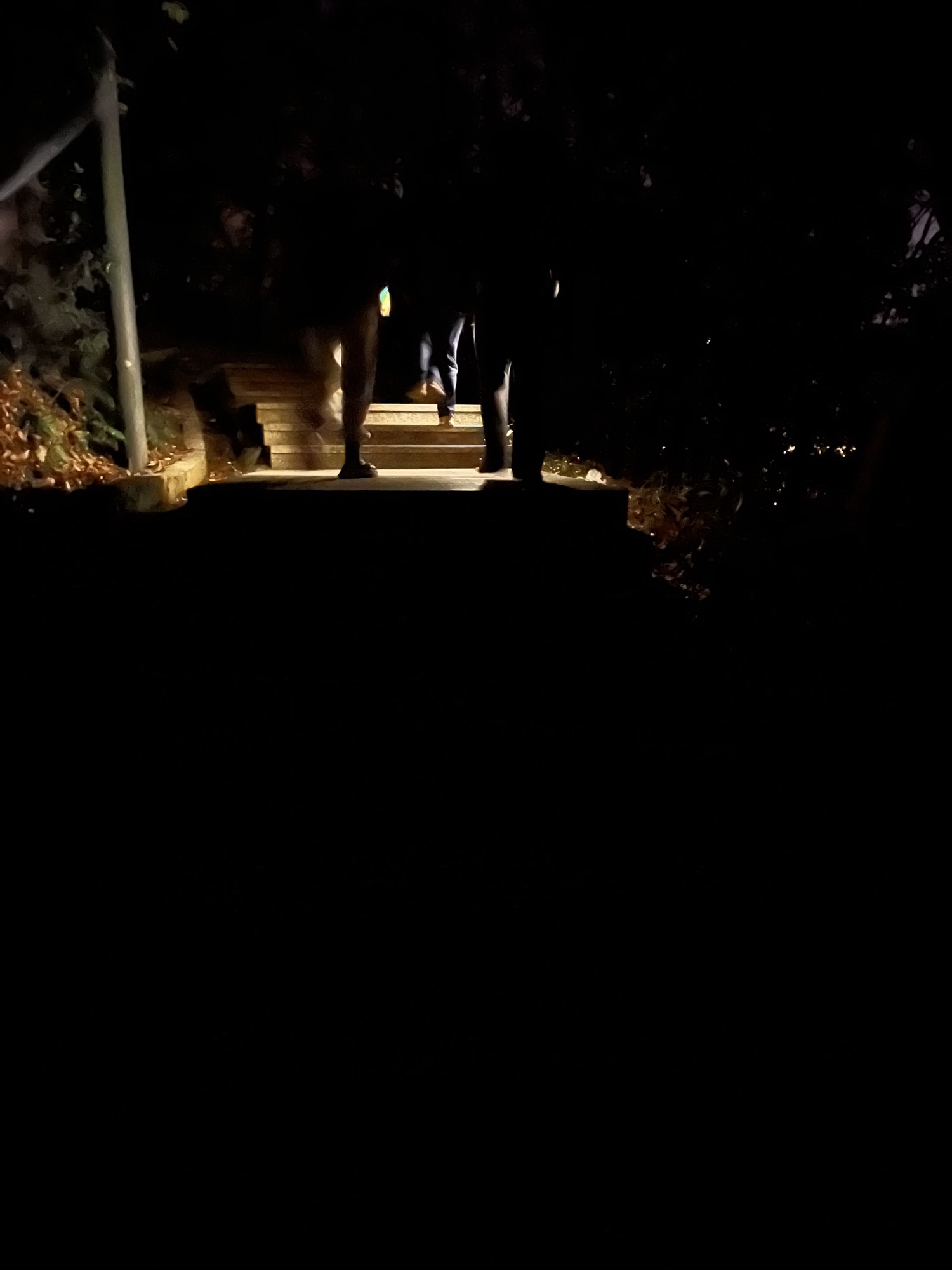 武安山森林公园旅行图片