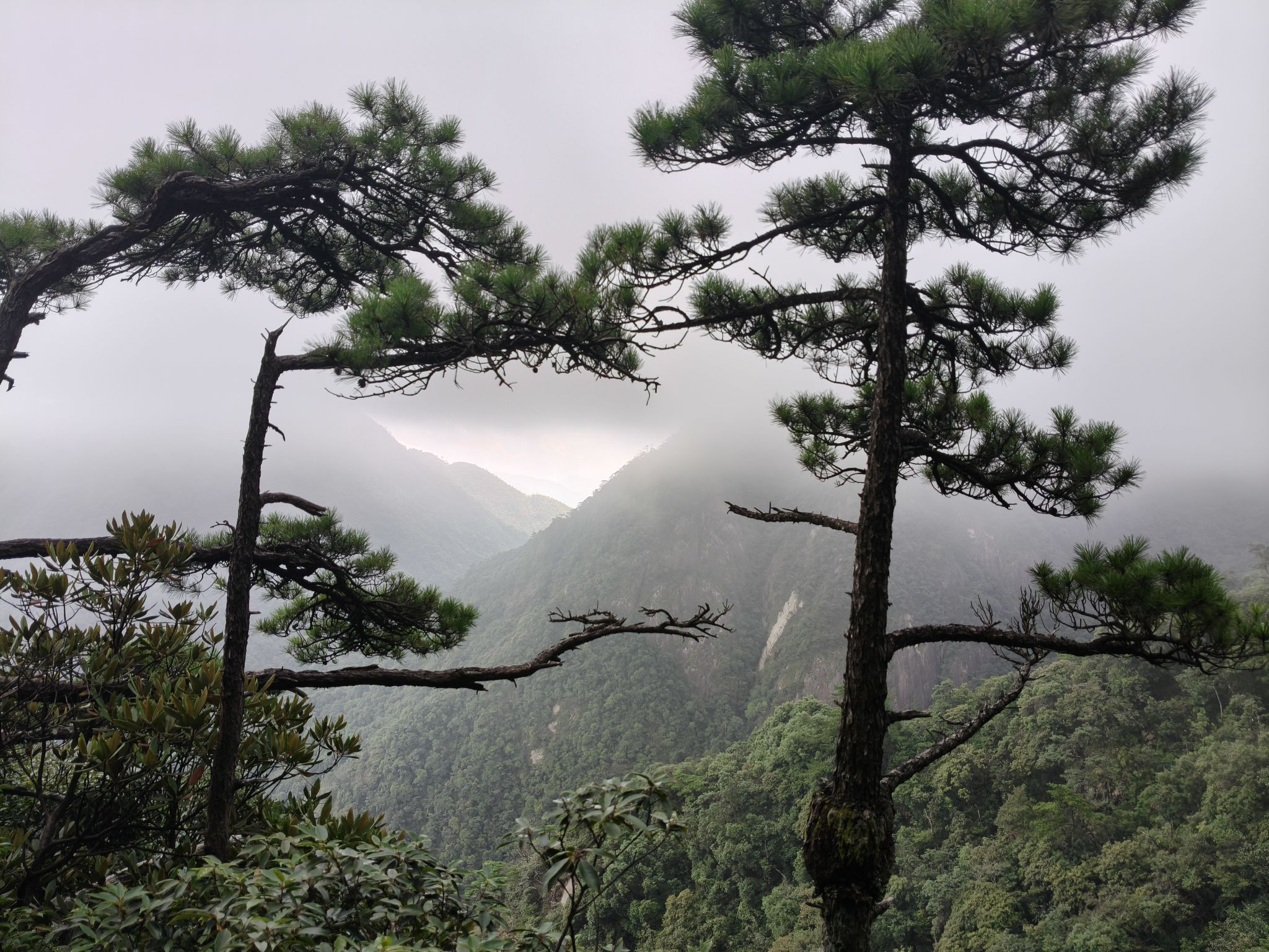 三清山国家级旅游风景区