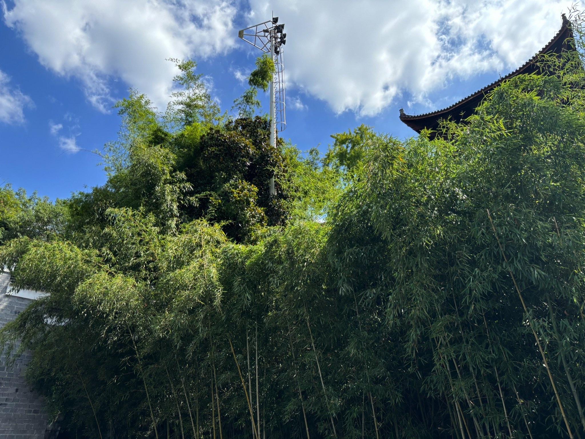 信江书院