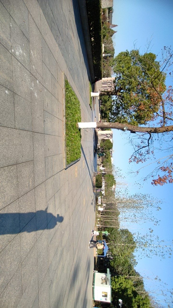 锦湖公园