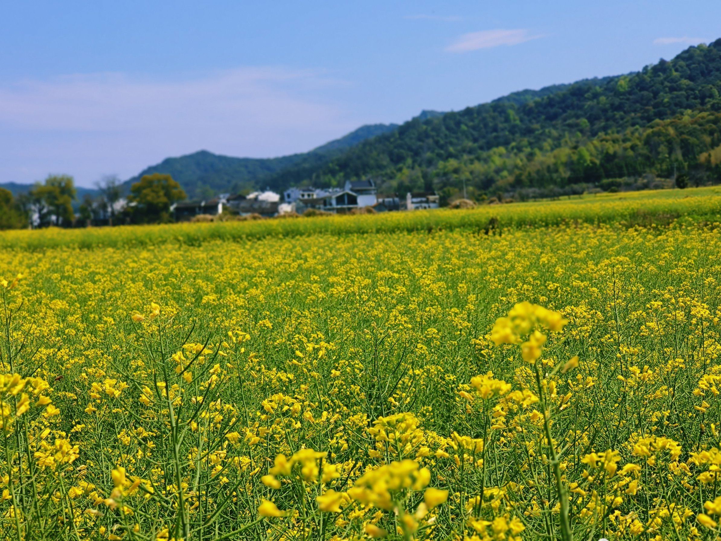 严田风景区