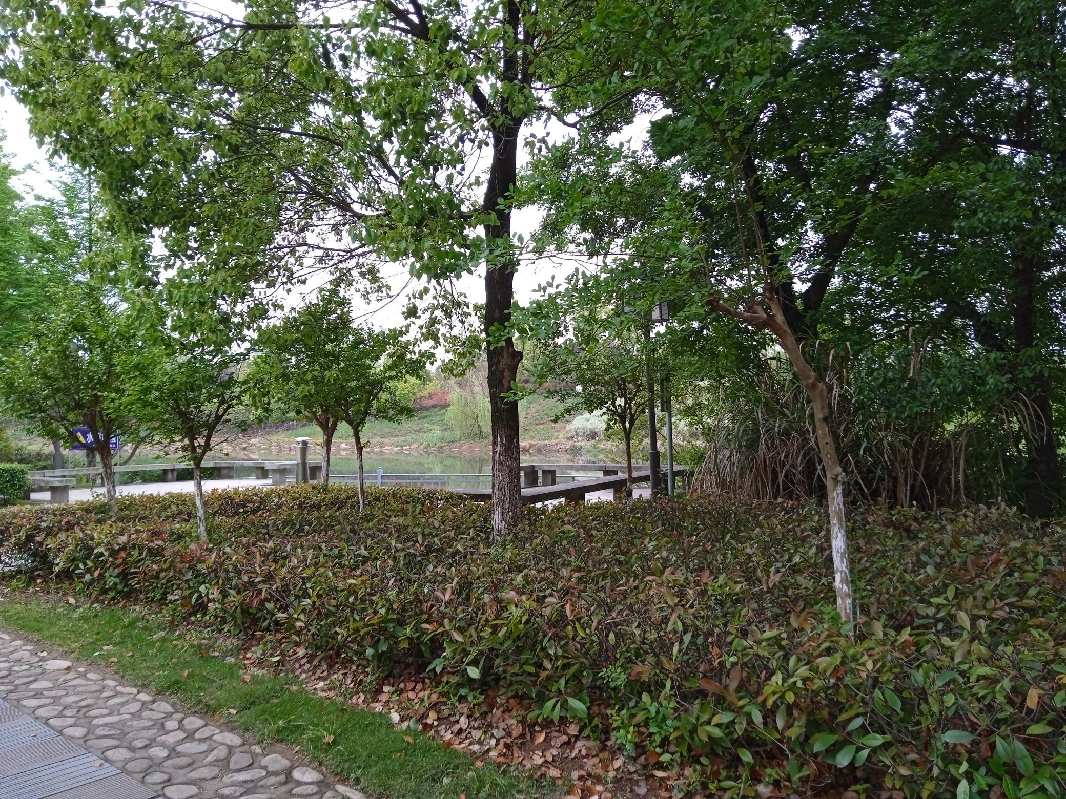 槠溪湿地公园旅行图片