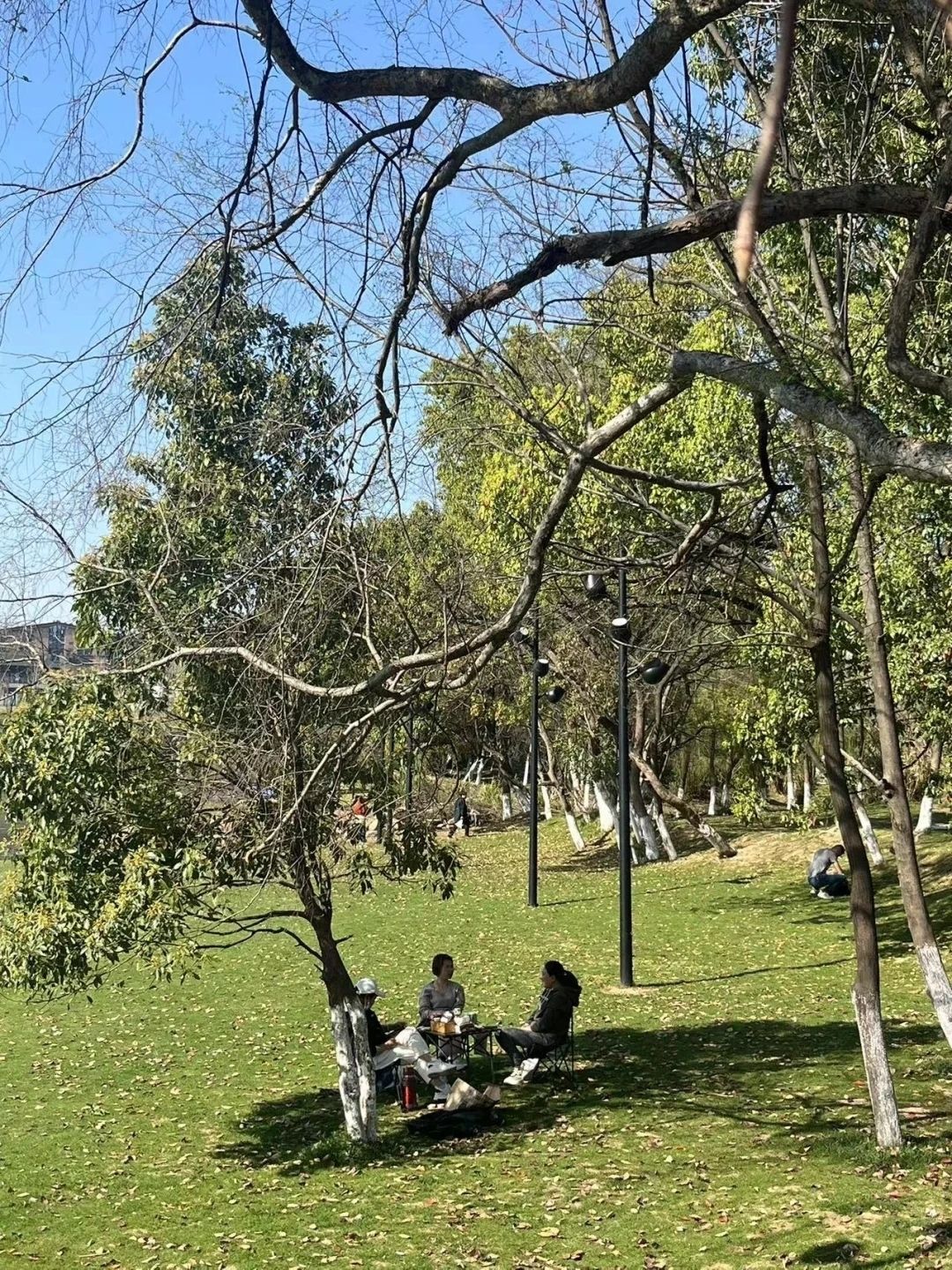 槠溪湿地公园旅行图片