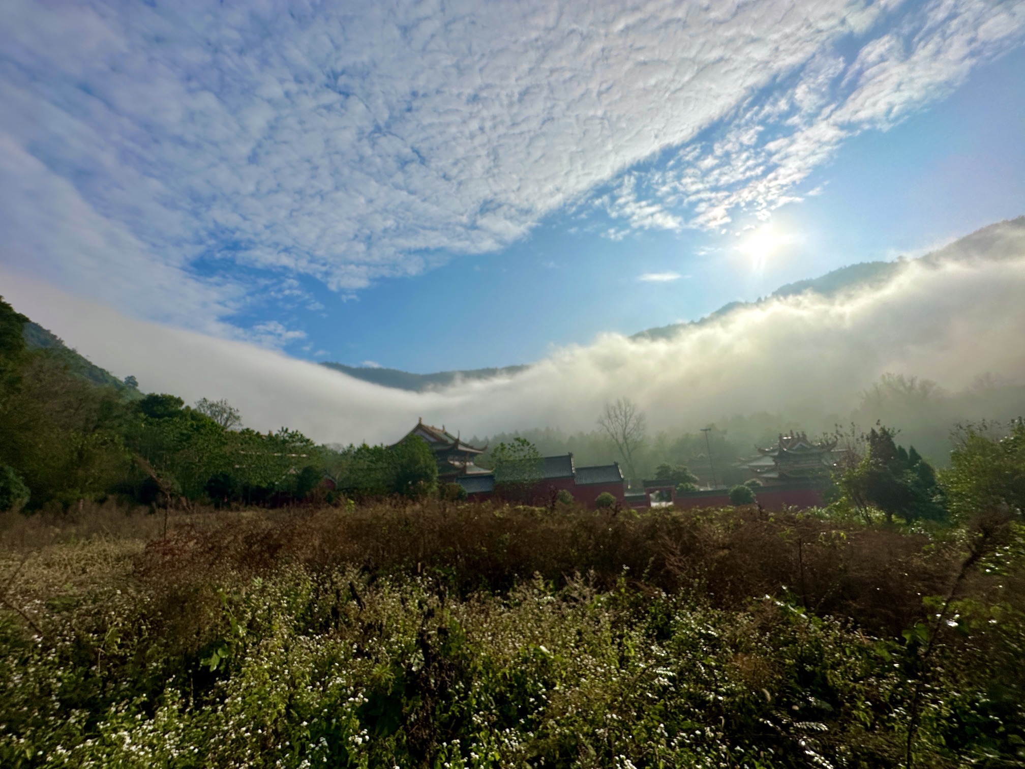 樟树阁皂山风景区