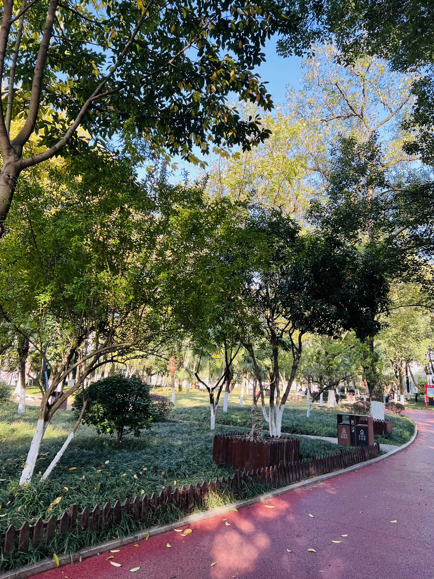 状元洲公园旅行图片