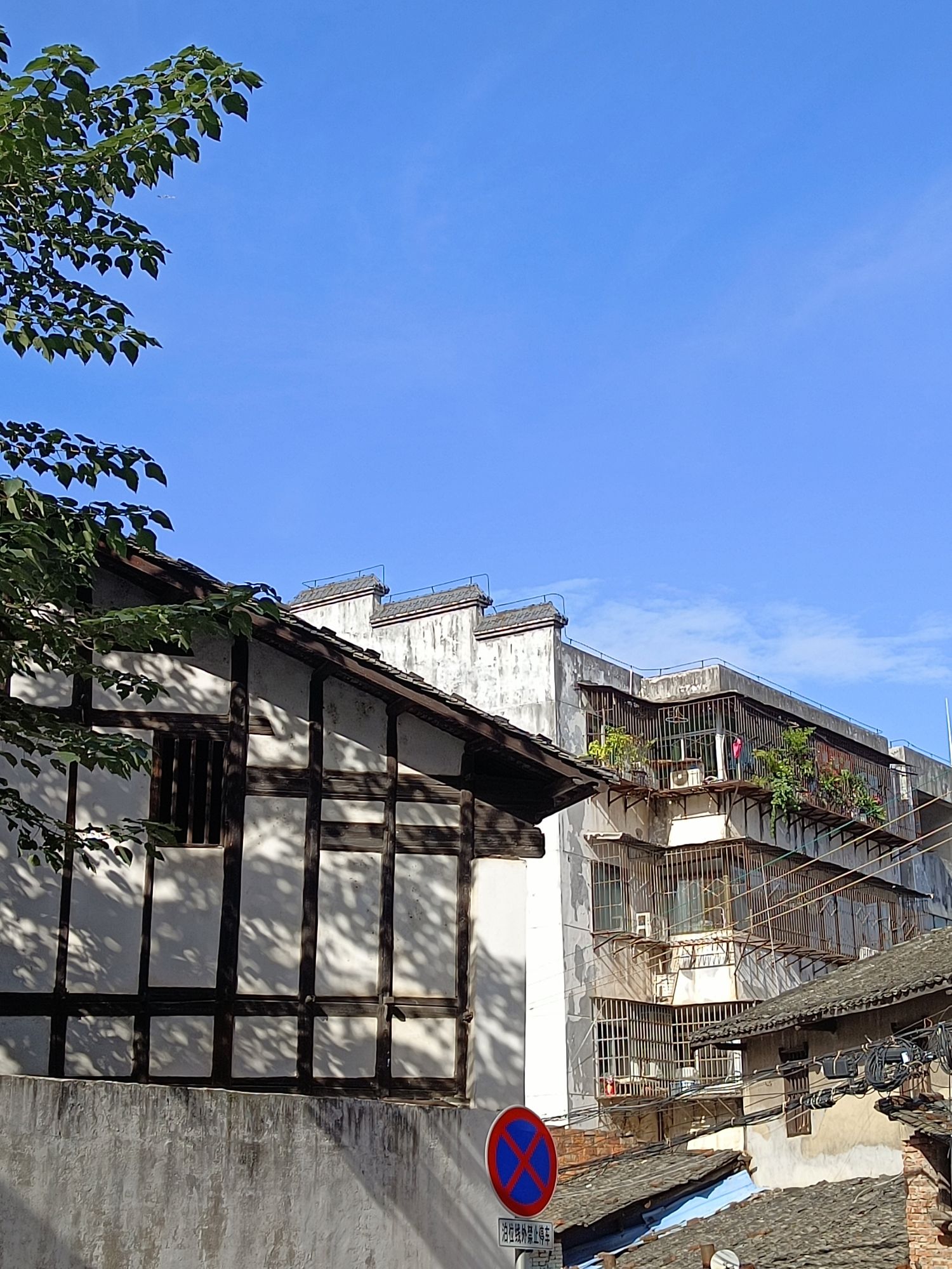 龟角尾公园