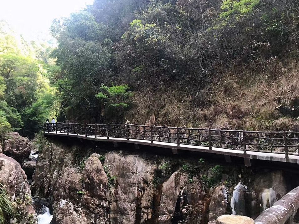 三百山国家级风景名胜区旅行图片
