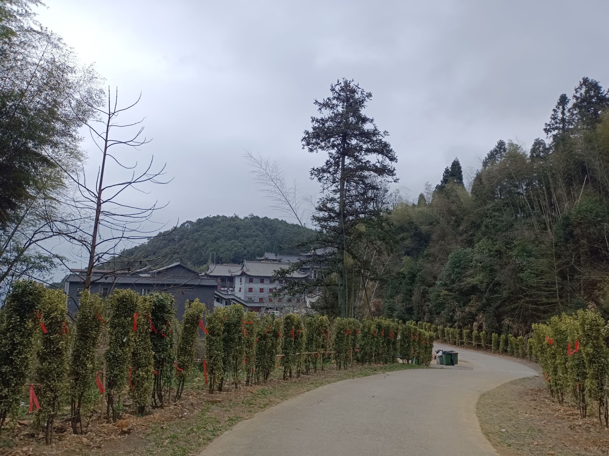 莲花山景区