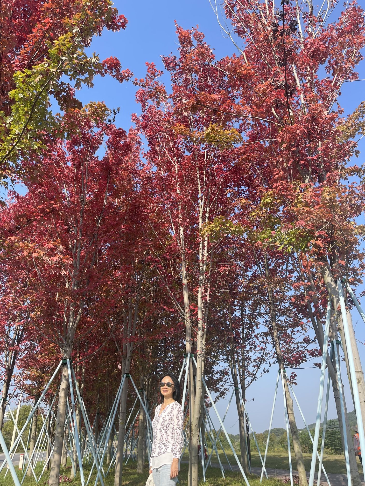 景德镇植物园